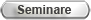 Seminare